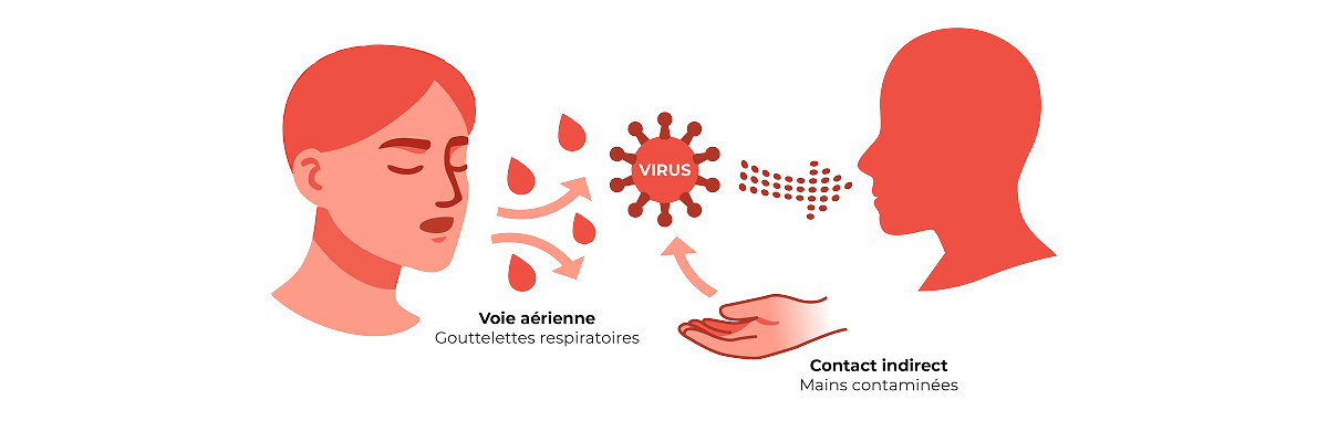 Schéma : transmission de la grippe par voie aérienne (gouttelettes respiratoires) et par contact indirect (mains contaminées)
